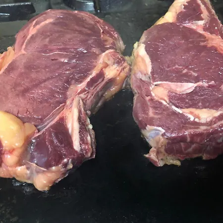 Hotel Rio Cea